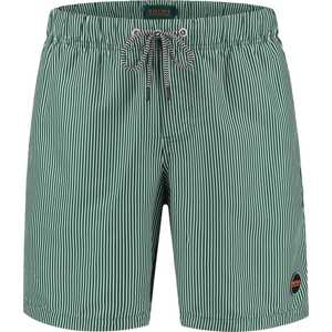Plavecké šortky Shiwi zelená / bílá