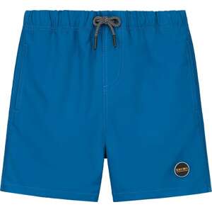 Plavecké šortky 'Mike' Shiwi modrá