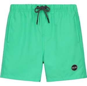 Plavecké šortky 'Magic Crab' Shiwi mátová / pastelově zelená / černá