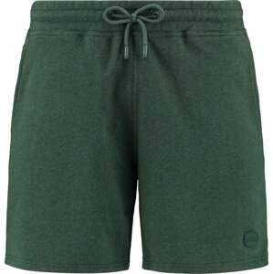Kalhoty Shiwi tmavě zelená