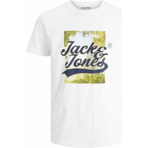 Tričko jack & jones námořnická modř / pastelově žlutá / zelená / bílá
