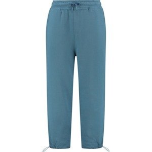 Kalhoty Shiwi modrá džínovina