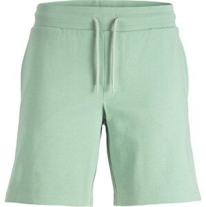 Kalhoty jack & jones pastelově zelená