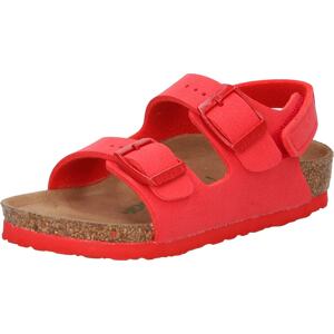 Sandály 'Milano' Birkenstock červená