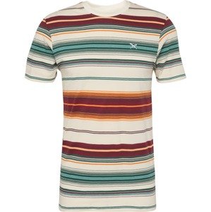 Tričko 'Santo' Iriedaily béžová / zelená / oranžová