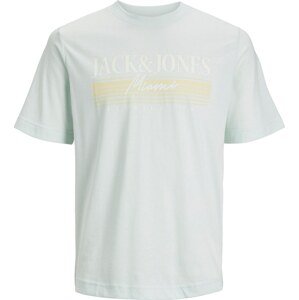 Tričko 'Palma' Jack & Jones Plus světlemodrá / světle žlutá / bílá