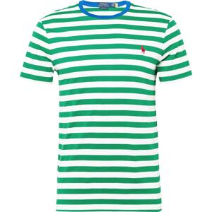 Tričko Polo Ralph Lauren modrá / zelená / malinová / bílá