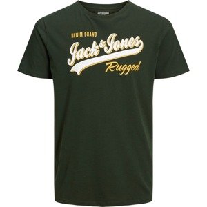 Tričko Jack & Jones Plus žlutá / zelená / bílá