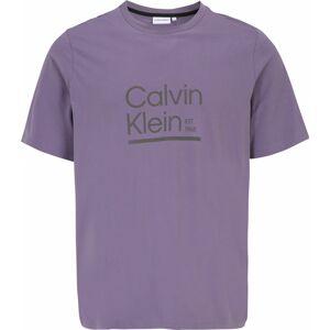 Tričko Calvin Klein Big & Tall fialová / černá