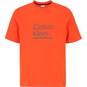 Tričko Calvin Klein Big & Tall šedá / oranžová