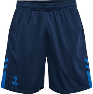 Sportovní kalhoty Hummel modrá / tmavě modrá
