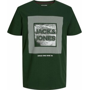 Tričko 'STEIN' jack & jones tmavě zelená / bílá