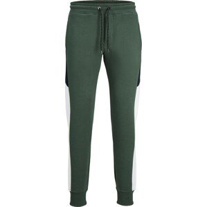 Kalhoty 'Will Reid' jack & jones námořnická modř / tmavě zelená / bílá