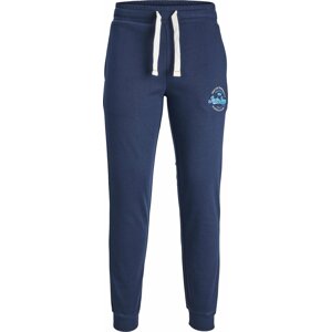 Kalhoty 'GORDON MIKK' jack & jones námořnická modř / světlemodrá / bílá