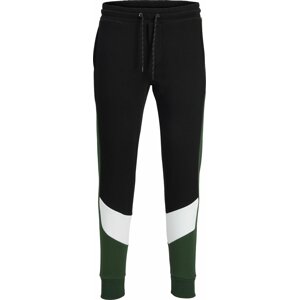 Kalhoty jack & jones smaragdová / černá / bílá
