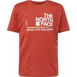 Funkční tričko The North Face modrá / rezavě hnědá / pastelově žlutá / bílá