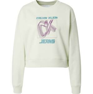 Mikina 'Relaxed' Calvin Klein Jeans mátová / nefritová / fialová