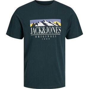 Tričko 'WALTER' jack & jones světle žlutá / jedle / světle fialová / bílá