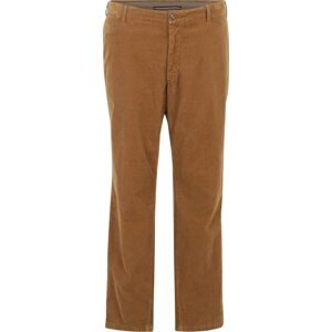 Chino kalhoty 'Denton' Tommy Hilfiger Big & Tall námořnická modř / hnědá / červená / bílá