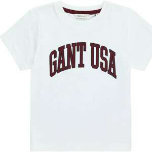 Tričko Gant bordó / černá / bílá