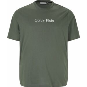 Tričko Calvin Klein Big & Tall tmavě zelená / bílá