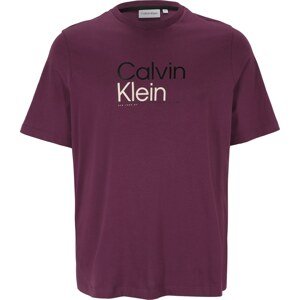 Tričko Calvin Klein Big & Tall bobule / černá / bílá