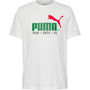Tričko 'No. 1 Logo Celebration' Puma zelená / červená / bílá