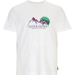 Tričko 'SILVERLAKE G' Jack & Jones Plus zelená / khaki / fialová / bílá